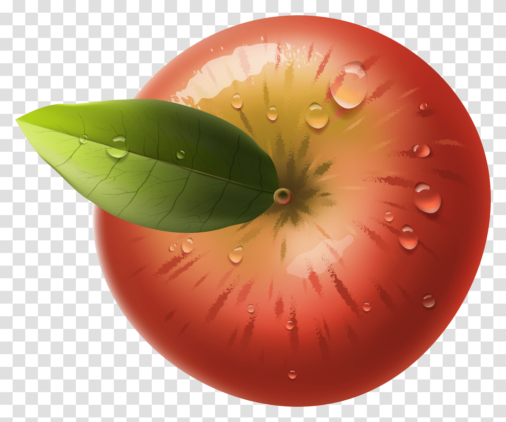 Plant Top View Apple Top View Transparent Png