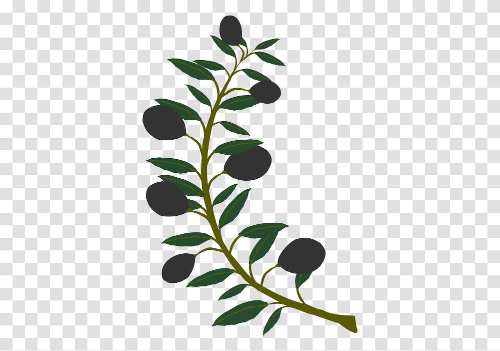 Plant Tree Clip Art Olive Tree Branches, Leaf, Green, Sesame, Seasoning Transparent Png