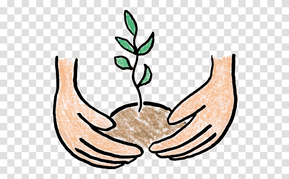 Plant Tree Clipart Explore Pictures, Food, Crab, Seafood, Sea Life Transparent Png