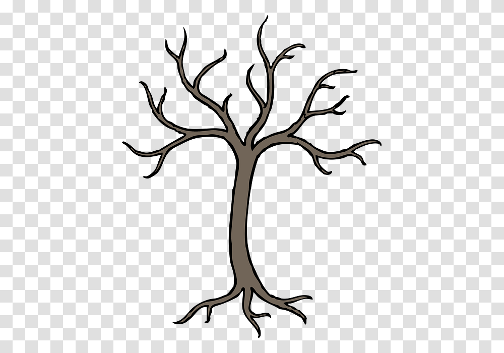 Plant, Tree, Root, Tree Trunk Transparent Png