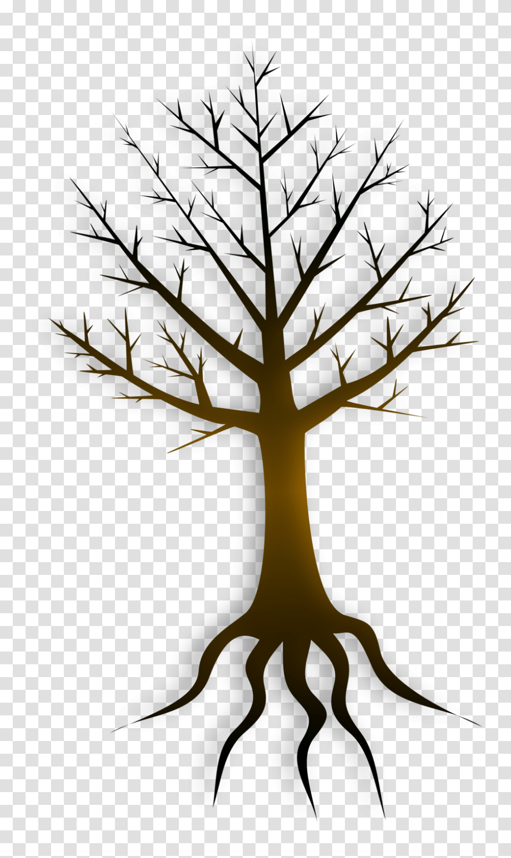 Plant, Tree, Silhouette, Tree Trunk Transparent Png