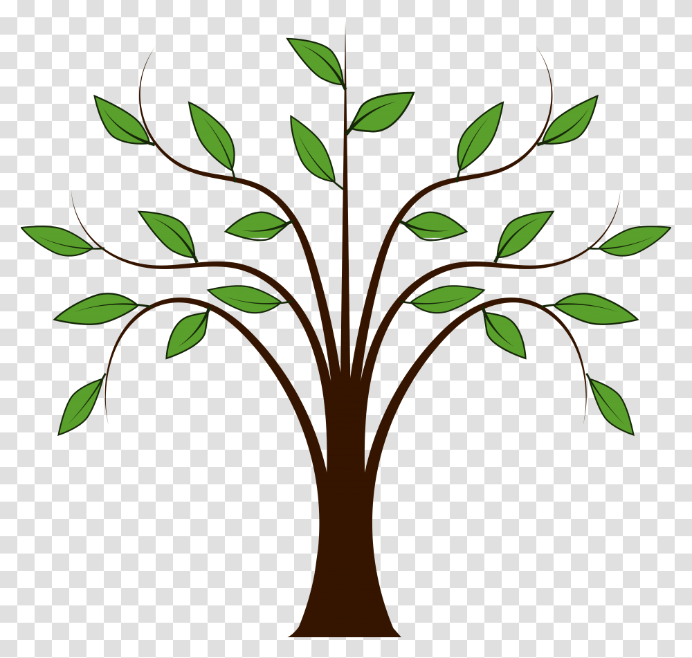 Plant, Tree, Stencil, Palm Tree, Arecaceae Transparent Png