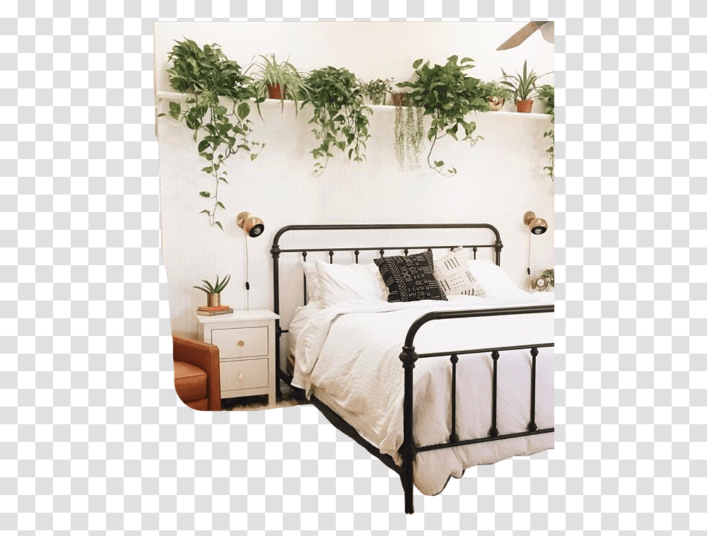 Plant Tumblr, Bed, Furniture, Leaf Transparent Png