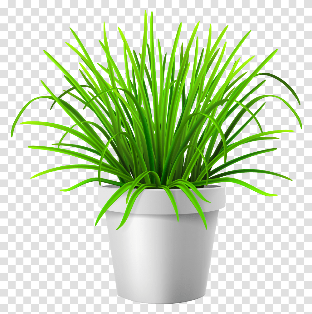 Plant Vector Grass In Vase Transparent Png