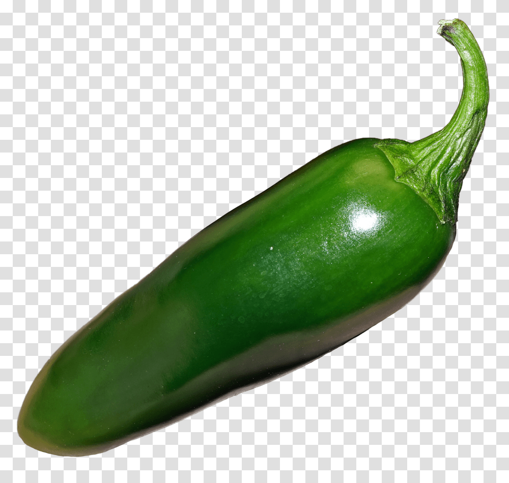 Plant, Vegetable, Food, Pepper Transparent Png