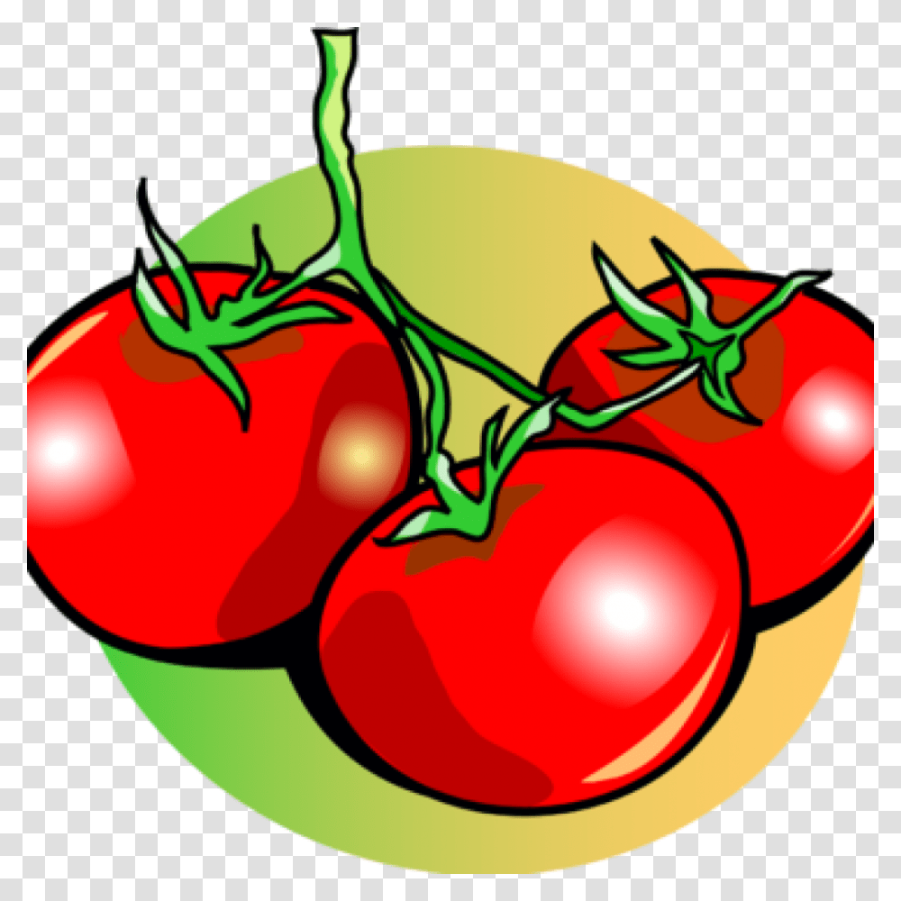 Plant, Vegetable, Food, Tomato Transparent Png