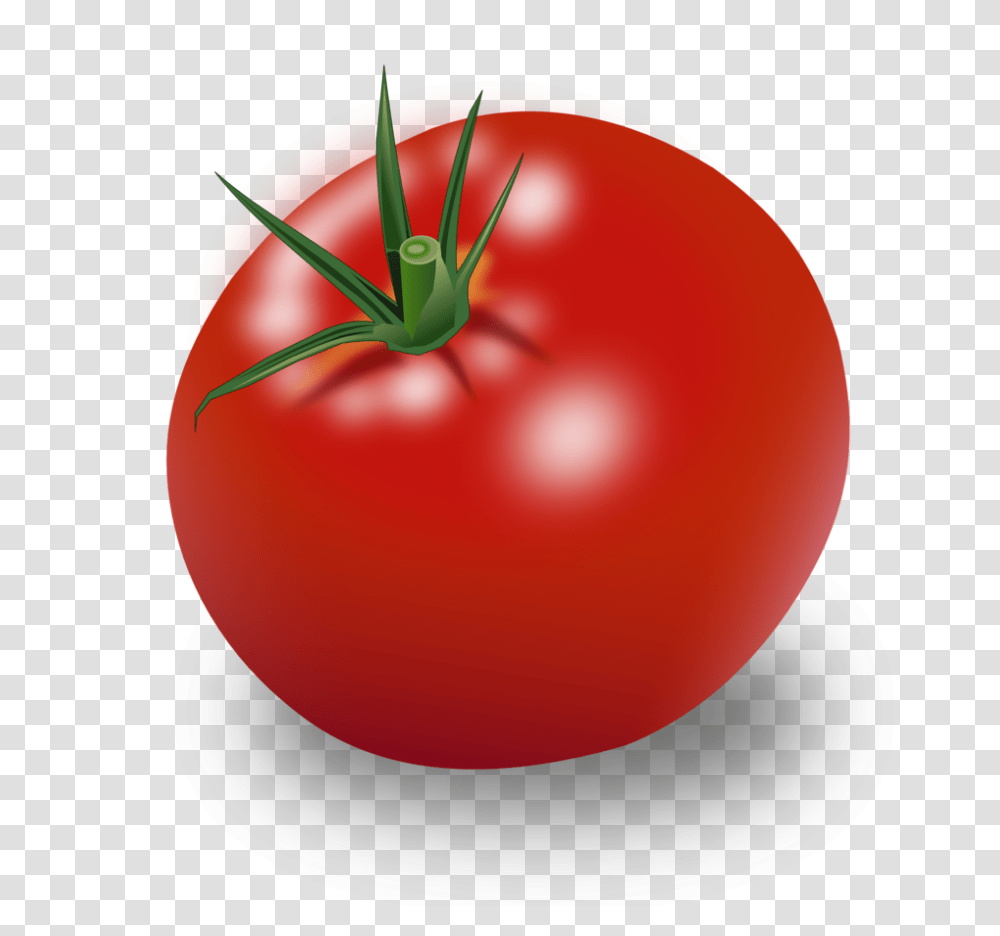 Plant, Vegetable, Food, Tomato Transparent Png