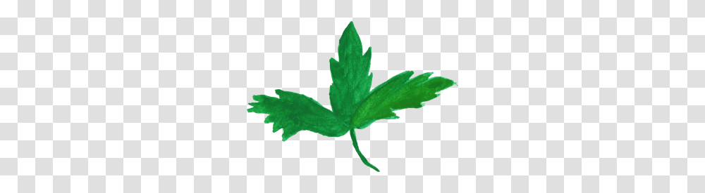 Plant Watercolor Leaves, Leaf, Weed, Hemp Transparent Png