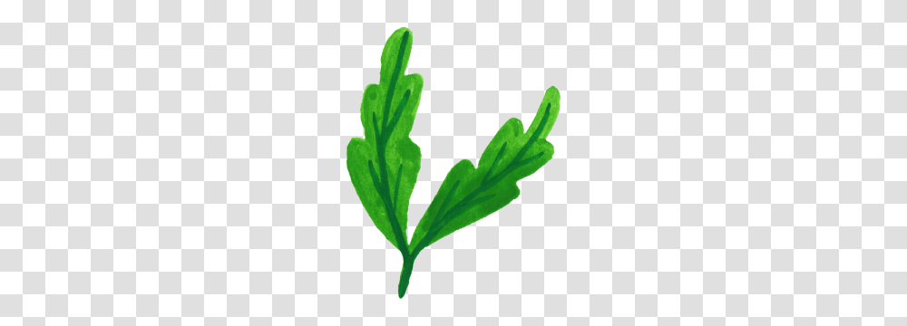 Plant Watercolor Leaves Leaves, Leaf, Vase, Jar, Pottery Transparent Png