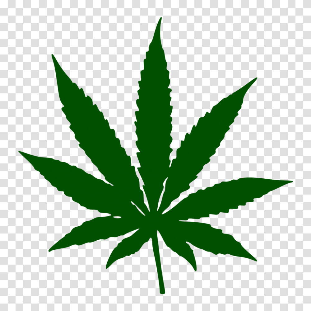 Plant, Weed, Leaf, Hemp Transparent Png