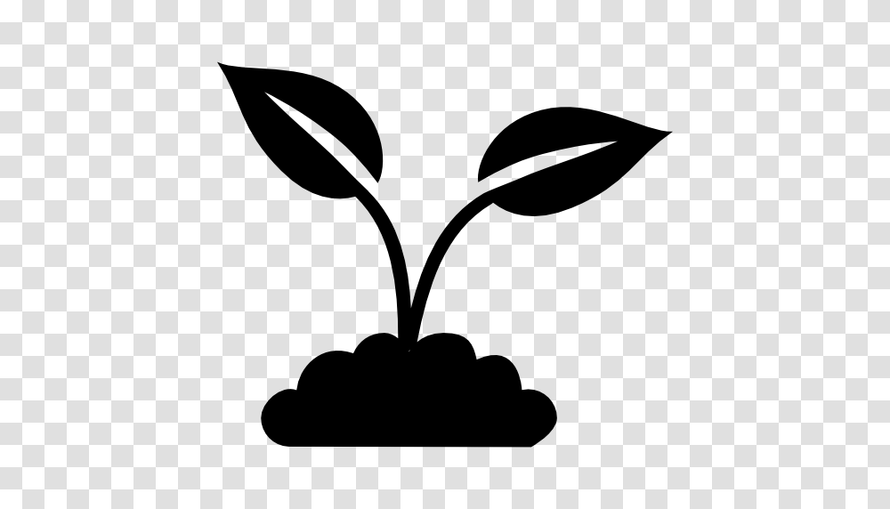 Plant With Leaves, Stencil, Silhouette Transparent Png