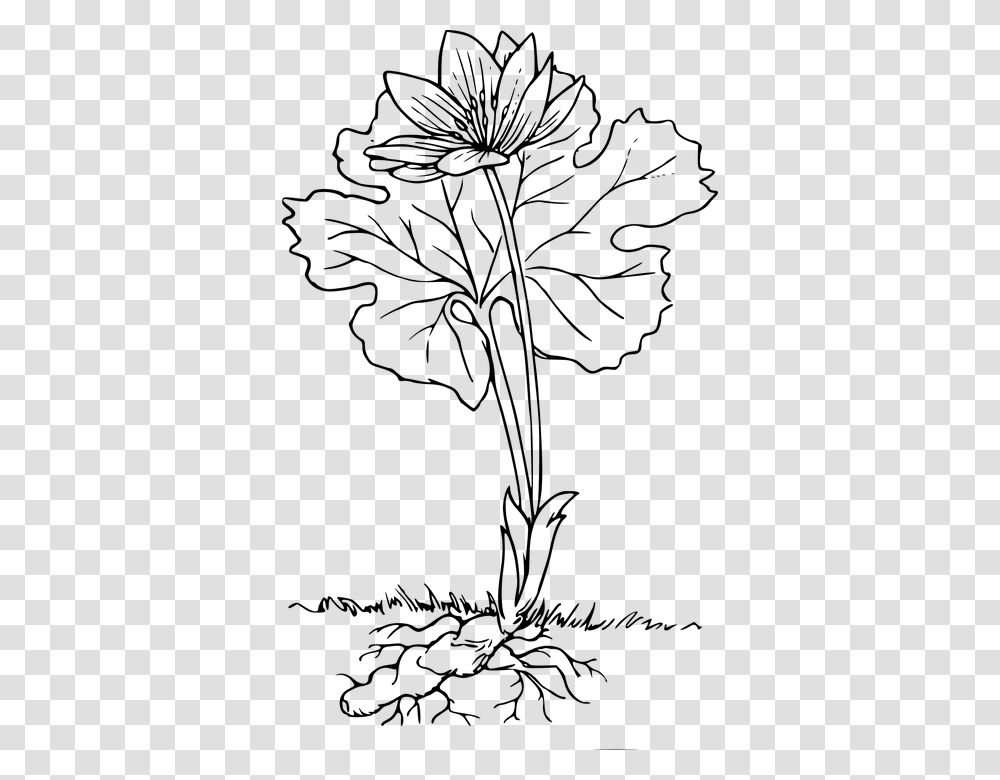 Plant With Roots Black And White, Gray, World Of Warcraft Transparent Png