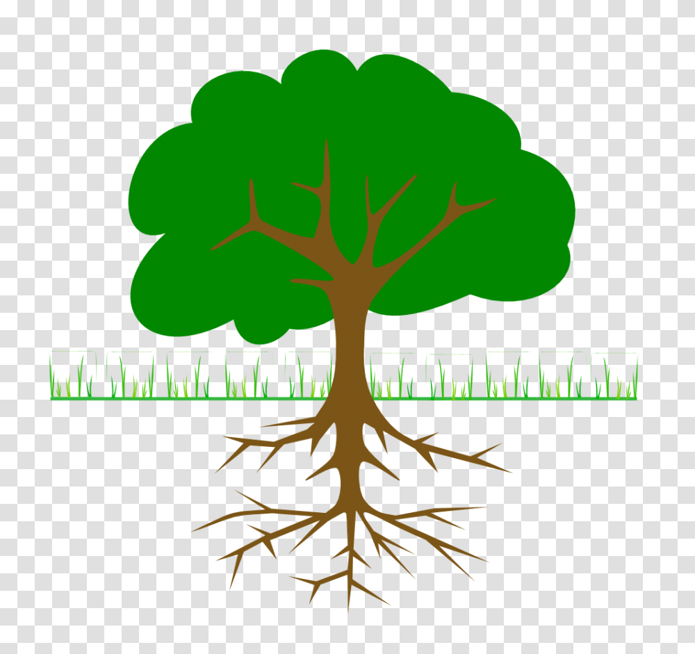 Plant With Roots Clipart Transparent Png