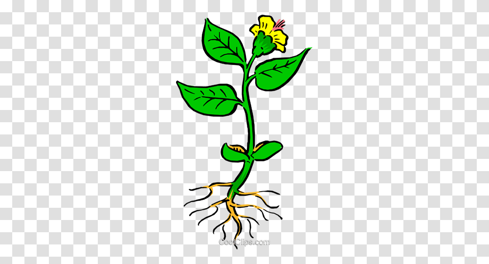 Plant With Roots Royalty Free Vector Clip Art Illustration, Green, Leaf, Flower, Tree Transparent Png