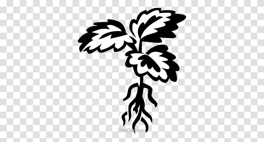 Plant With Roots Royalty Free Vector Clip Art Illustration, Stencil, Floral Design, Pattern Transparent Png