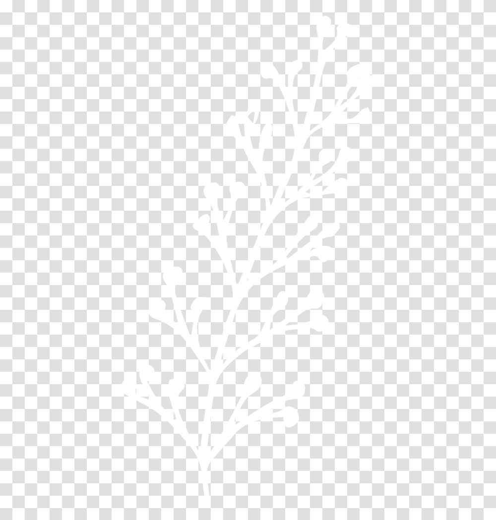 Planta 4 01 Hyatt White Logo, Stencil, Flower, Blossom, Acanthaceae Transparent Png