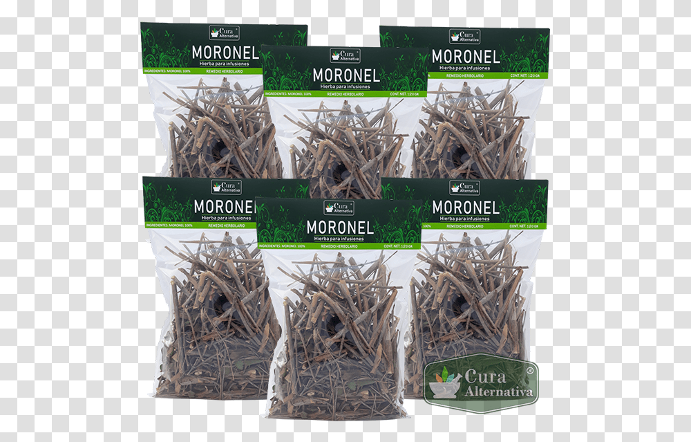 Planta Moronel Hierba Grass, Root, Produce, Food, Sprout Transparent Png
