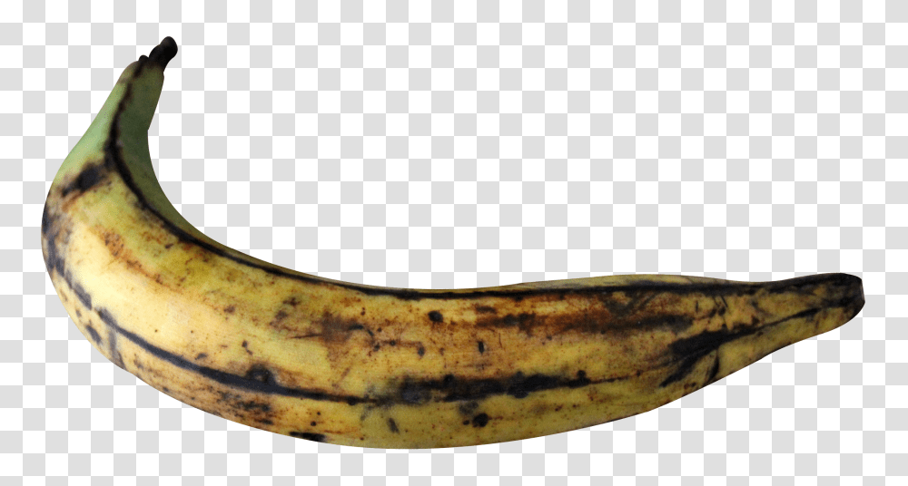 Plantain Banana Image, Fruit, Food Transparent Png