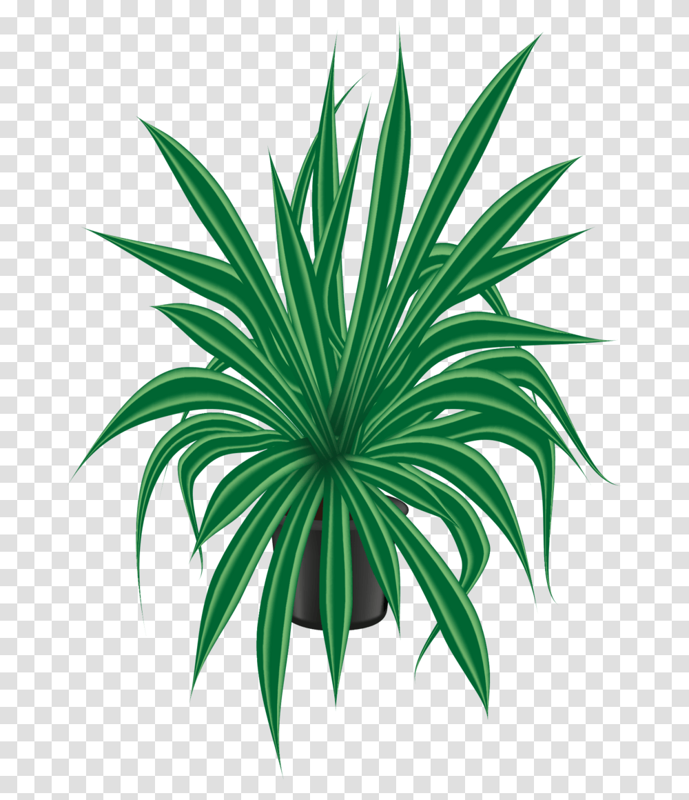 Plantas Clipart, Palm Tree, Arecaceae, Vegetation, Agavaceae Transparent Png