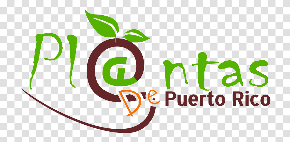 Plantas De Sol En Puerto Rico, Number, Alphabet Transparent Png