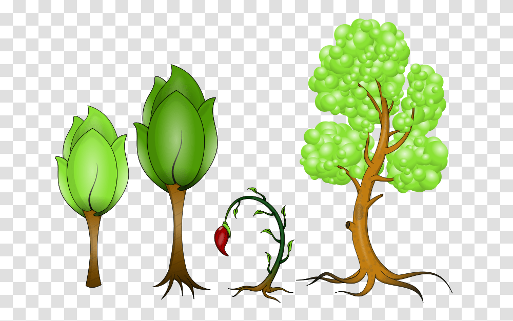 Plantas, Nature, Fruit, Food, Flower Transparent Png