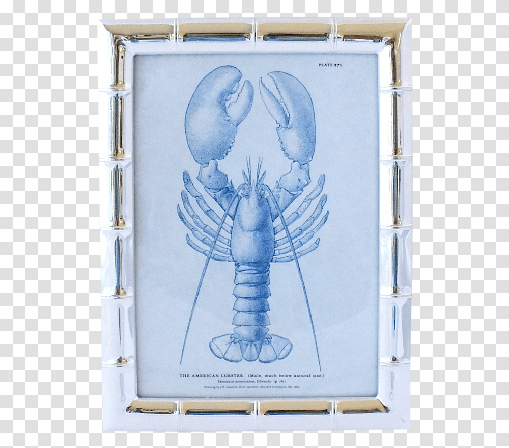 Plantation Bamboo Frame Homarus, Crawdad, Seafood, Sea Life, Animal Transparent Png