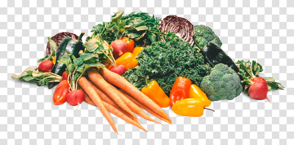 Plantbased Diet Broccoli, Vegetable, Food, Bird, Animal Transparent Png