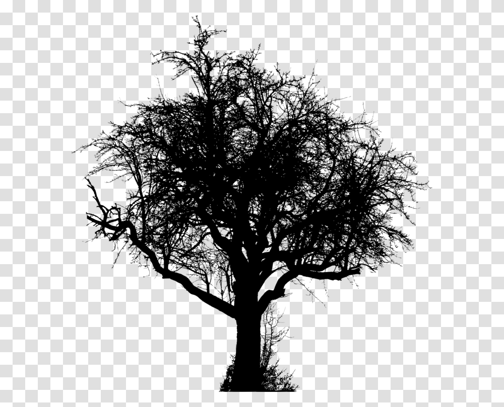 Plantblackandwhitetree Vector Graphics, Gray, World Of Warcraft Transparent Png