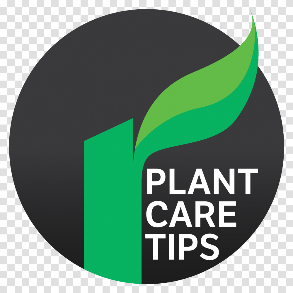 Plantcare Tip Icon Plant Based Diet, Logo, Label Transparent Png