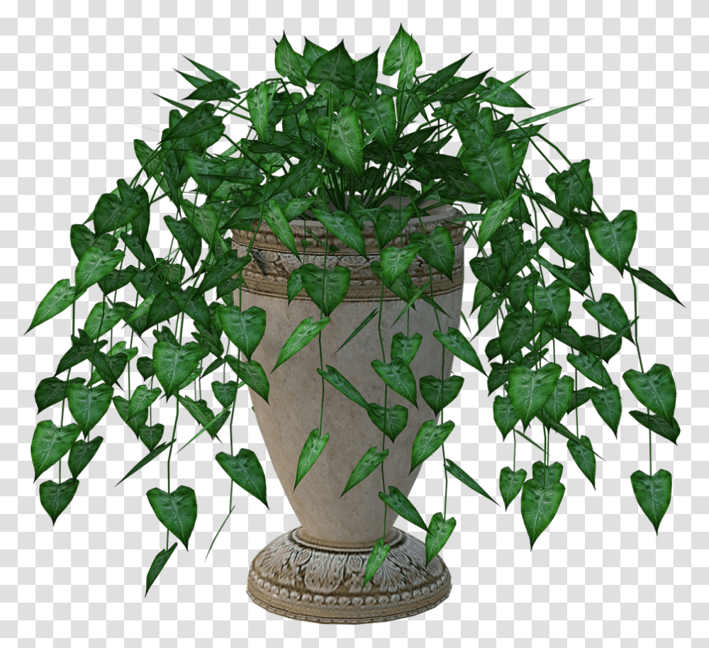 Planter Plant Leaves Houseplant, Vase, Jar, Pottery, Potted Plant Transparent Png
