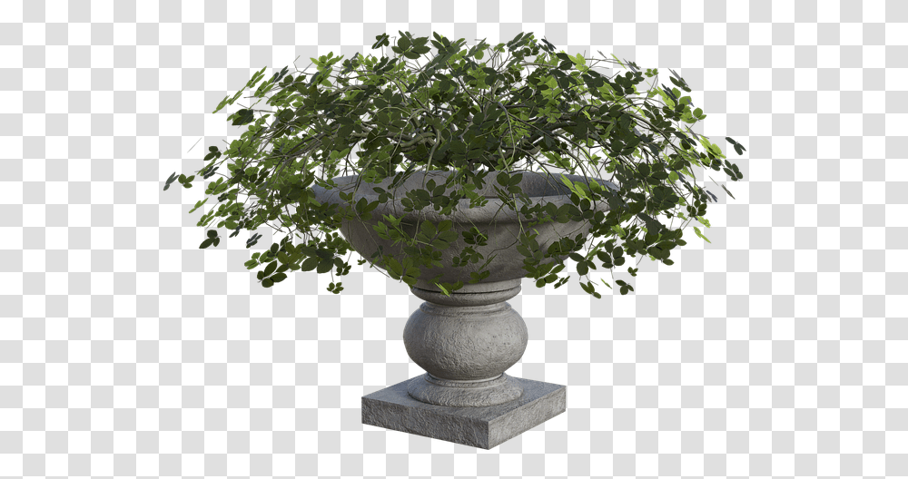 Planter Plants Green Free Image On Pixabay Tree, Potted Plant, Vase, Jar, Pottery Transparent Png