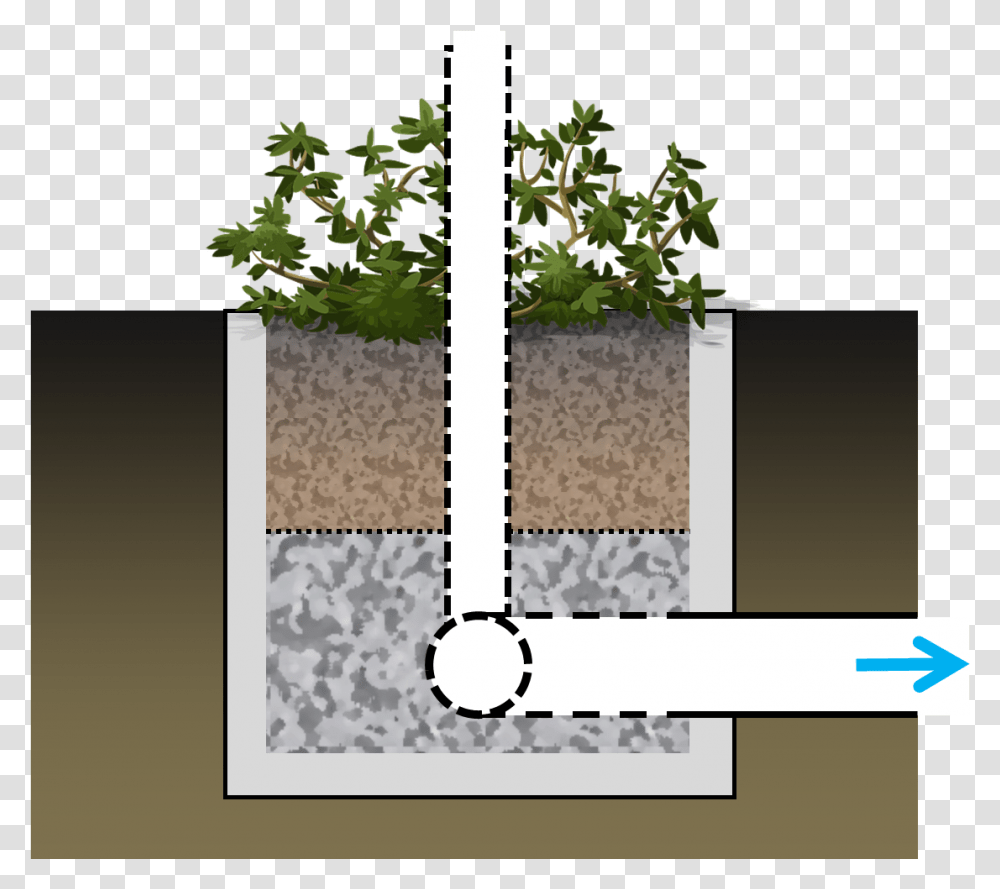 Planter Tree, Vegetation, Potted Plant, Vase, Jar Transparent Png