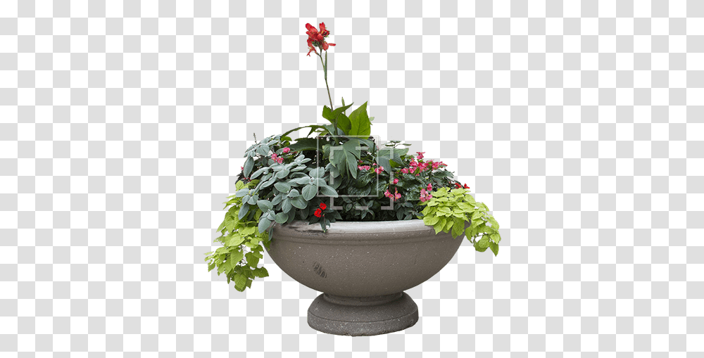 Planter With Overflowing Plantlife Immediate Entourage Flower Planter, Potted Plant, Vase, Jar, Pottery Transparent Png