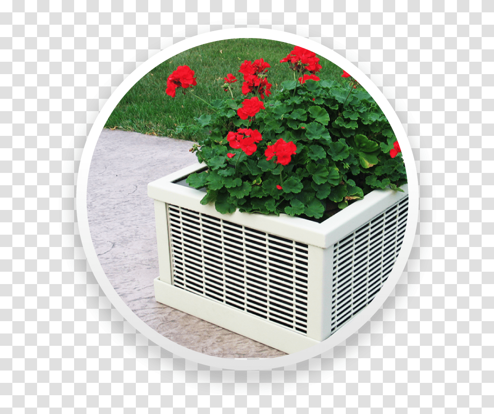 Planters Nasturtium, Air Conditioner, Appliance, Jacuzzi, Tub Transparent Png