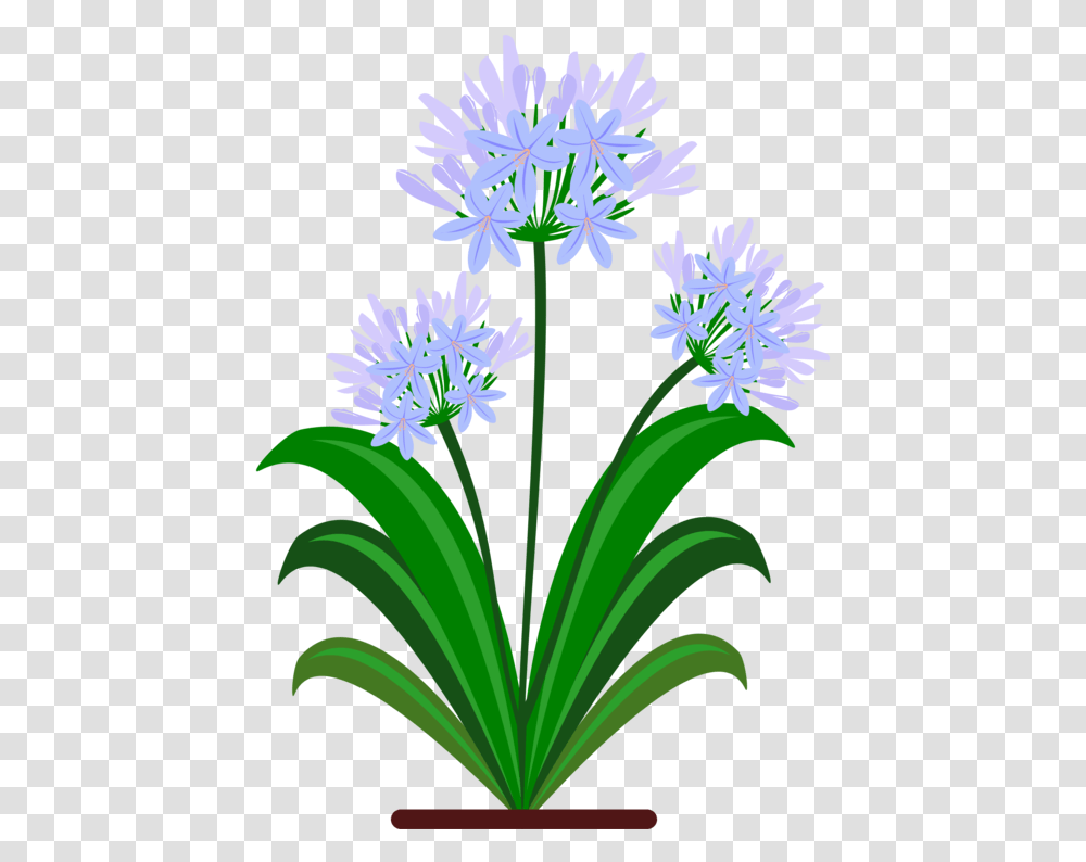 Plantfloraflowerpot Clipart Royalty Free Svg Flower Blue Pdf, Blossom, Amaryllidaceae, Petal, Agapanthus Transparent Png