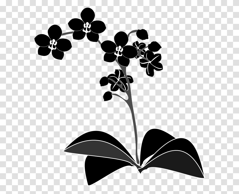 Plantfloraleaf Orchid Vector, Floral Design, Pattern Transparent Png