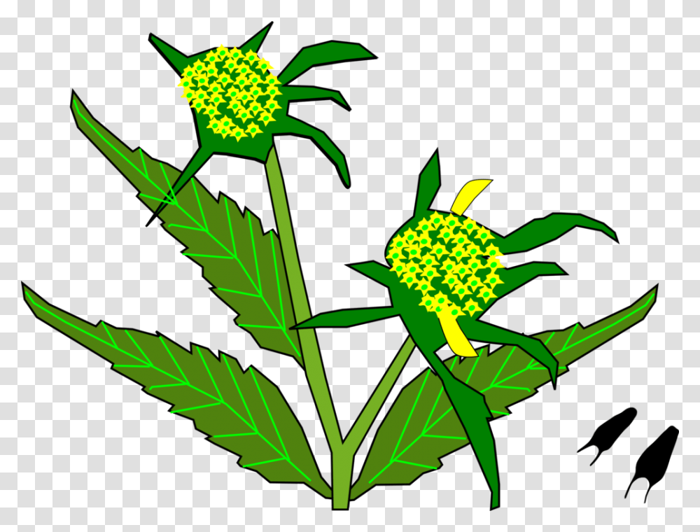 Plantfloraleaf Sunflower, Blossom, Weed Transparent Png