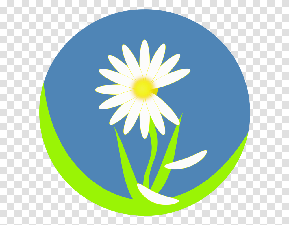Plantflorasunflower World Teachers Day Background, Daisy, Daisies, Blossom, Aster Transparent Png