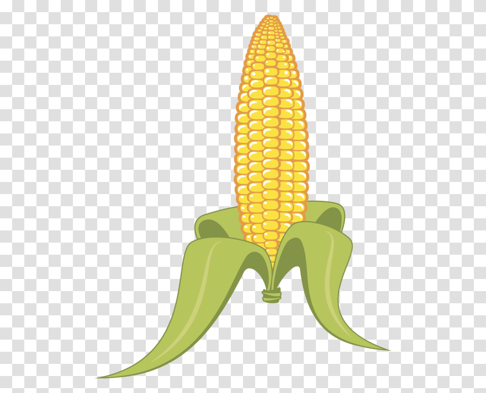 Plantflowercommodity Clipart Corn On The Cob, Vegetable, Food, Grain, Produce Transparent Png