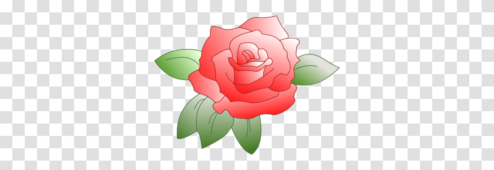 Plantflowergarden Roses Rose Clipart Small, Blossom, Petal, Carnation Transparent Png