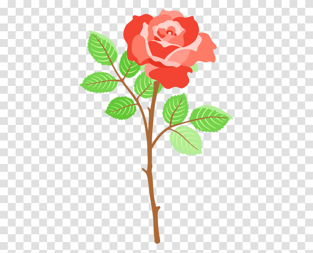 Plantflowerleaf Artistic Rose, Blossom, Tree, Hibiscus, Acanthaceae Transparent Png