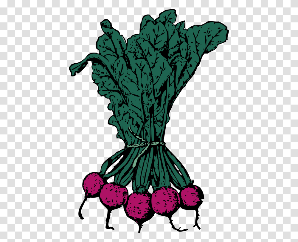 Plantflowerleaf Beets Clip Art, Food, Kale, Cabbage, Vegetable Transparent Png