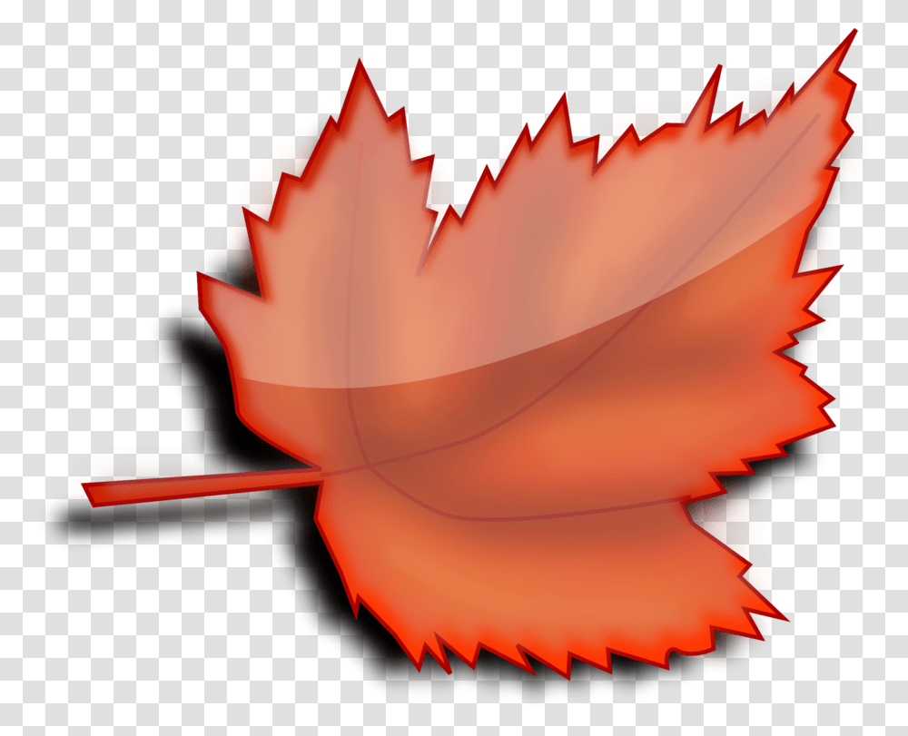 Plantflowerleaf Clipart Royalty Free Svg Clipart Autumn Maple Leaf, Petal, Anther, Tree Transparent Png