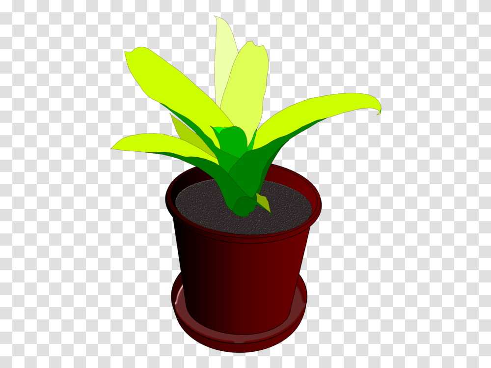 Plantflowerleaf Desenho Vaso De Planta, Sprout, Pot Transparent Png
