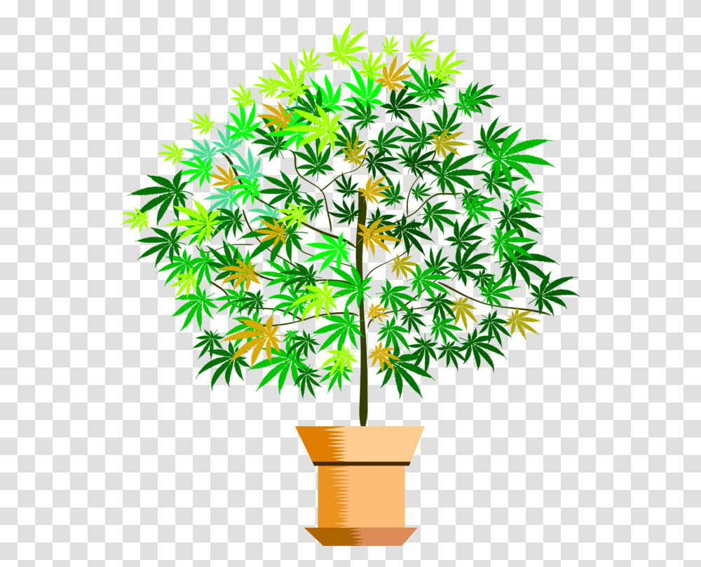 Plantflowerleaf Houseplant, Tree, Maple Transparent Png