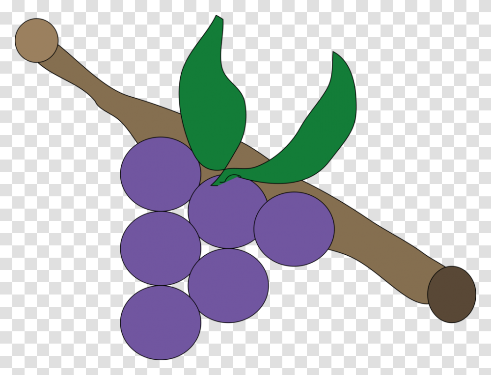 Plantgrapegrapevine Family Uva Lila, Grapes, Fruit, Food Transparent Png