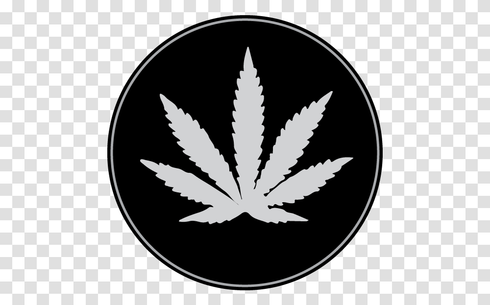 Plantillas Hoja De Marihuana White Weed Leaf Black Background, Tree, Maple Leaf Transparent Png