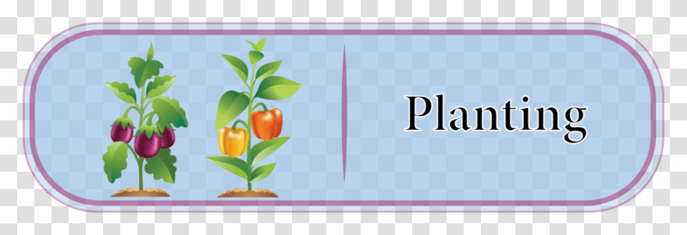 Planting Button Jpg, Vegetable, Food, Pepper Transparent Png