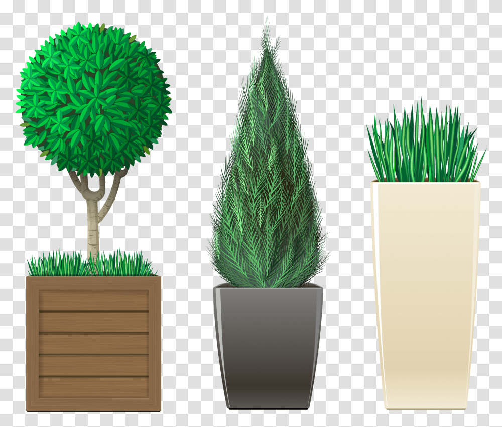 Planting Potting Flowerpot, Tabletop, Furniture, Tree, Broom Transparent Png