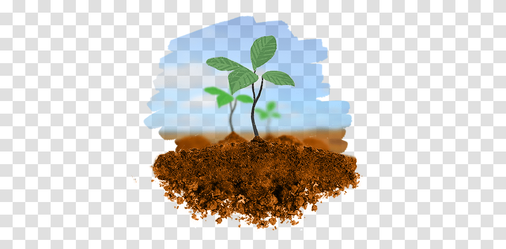 Planting Trees 4 Image Planting Trees Pics, Soil, Sprout, Hole, Leaf Transparent Png